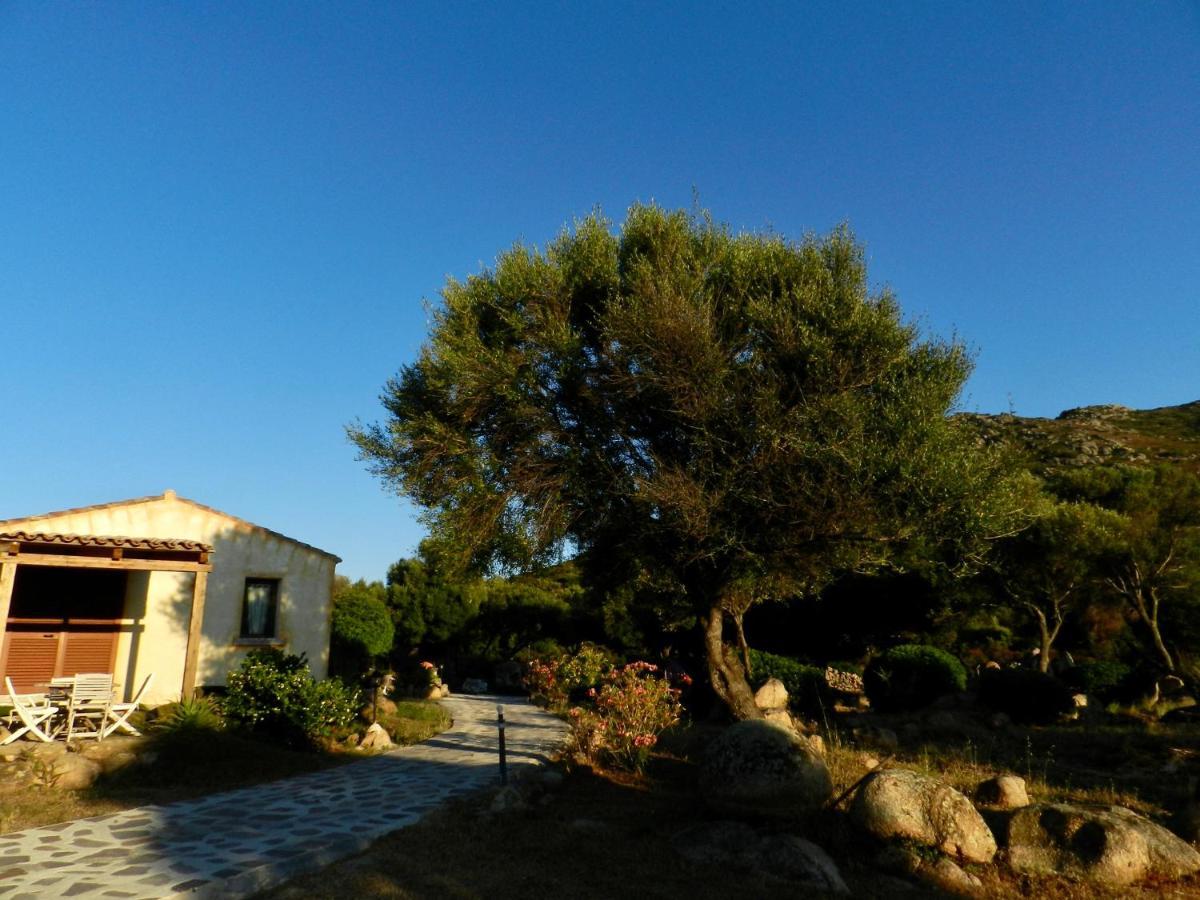 B&B Su Donnigheddu Rudalza Extérieur photo